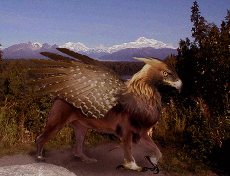 griffon_real