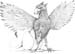 griffon